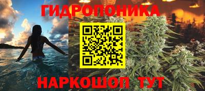 сатива Партизанск