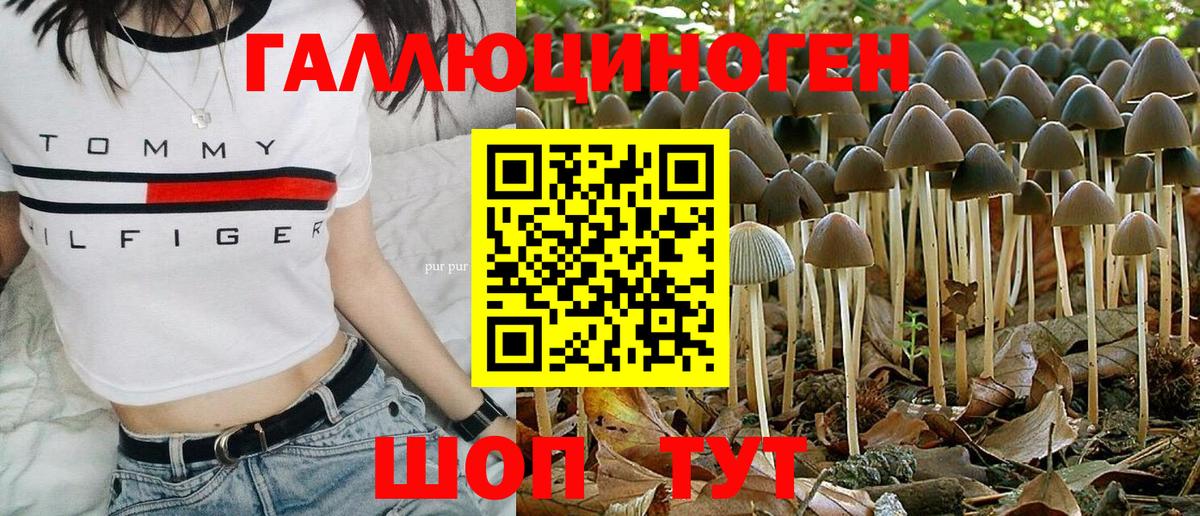 Псков  Псилоцибиновые грибы GOLDEN TEACHER  Галлюциногенные грибы Magic Shrooms  Вход с VPN 