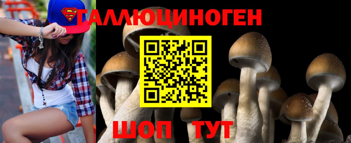 Галлюциногенные грибы ЛСД Псков